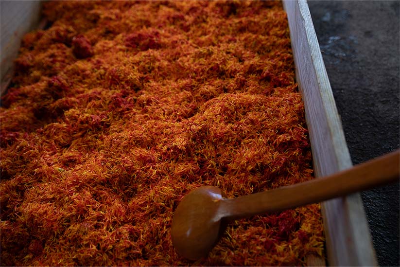 紅花を発酵させて、紅餅と呼ばれる染料の元となる加工品を作る