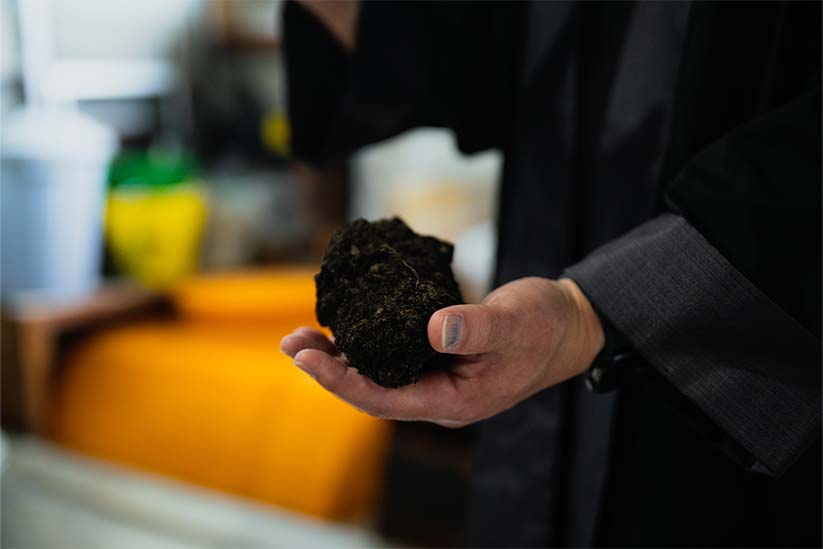 藍の原料を持つ豪一さんの指先が藍で青く染まっている。