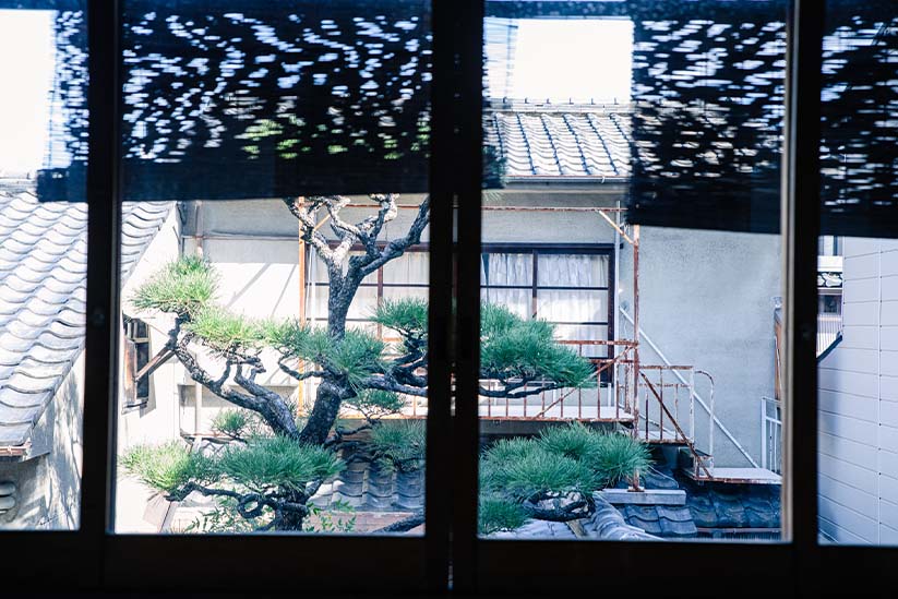 吉村織物から見える景色